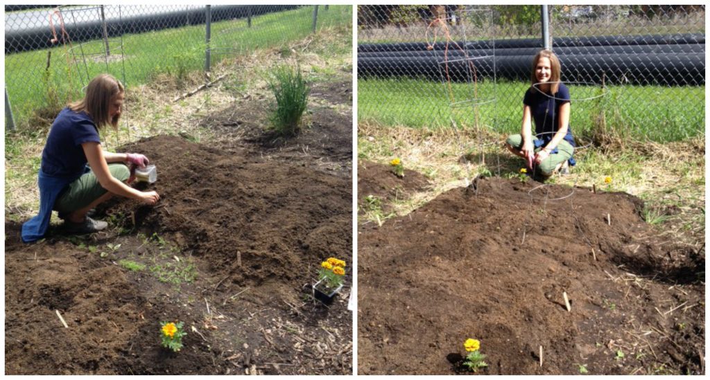 picmonkey-collage