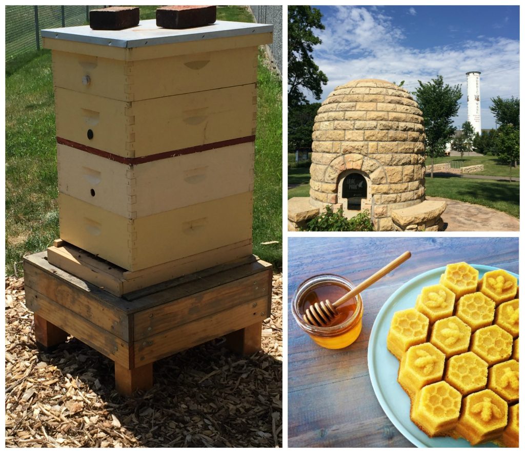 picmonkey_collage_bees