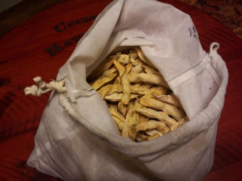 dry_beans