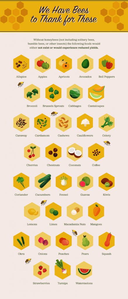 we-have-bees-to-thank-002