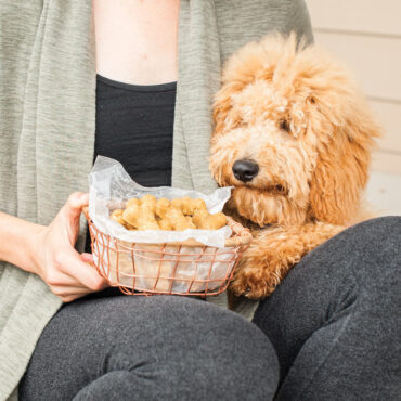 Freshly baked bone-shaped dog treats in wicker basket, held by person with small puppy on lap