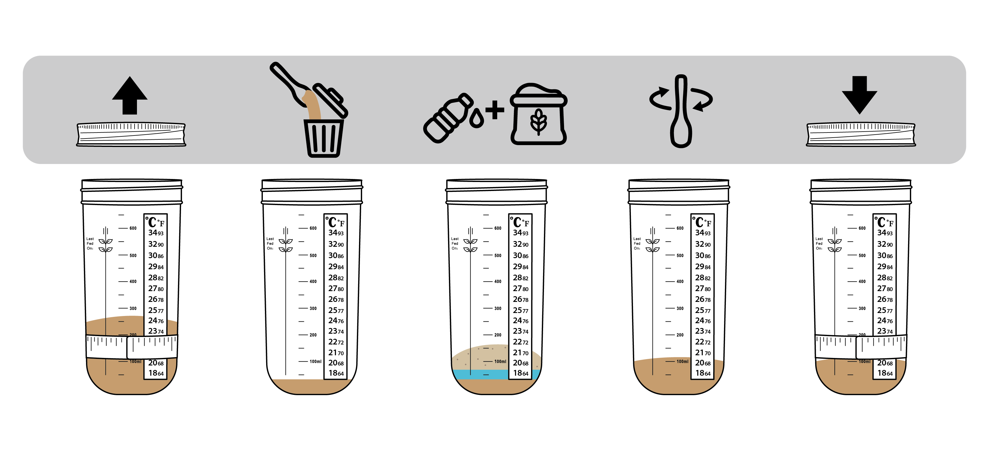 Diagram showing how to feed a sourdough starter in five steps.