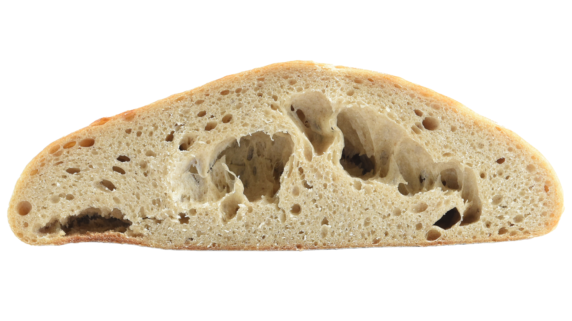 Cross section of a under fermented and baked loaf of sourdough bread