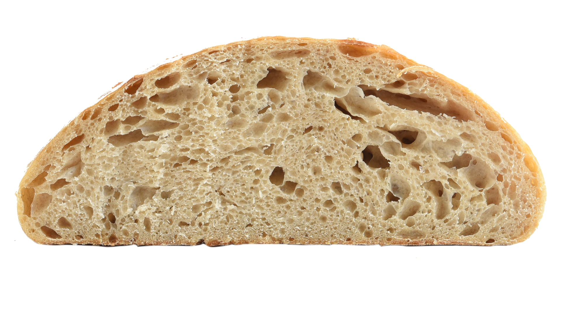 Cross section of a over fermented and baked loaf of sourdough bread